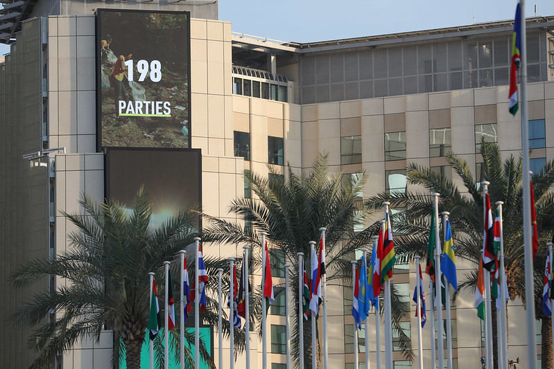 View of flags and part of the Expo City venue at COP 28 View of flags and part of the Expo City venue at COP 28